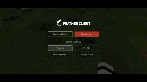 Feather client mcpe 1.20.1  If you find any bugs/glitches please let me know